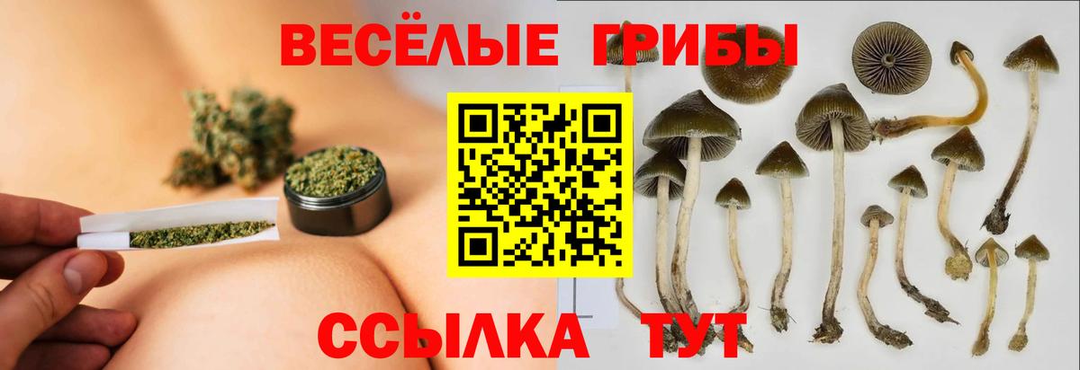 Галлюциногенные грибы GOLDEN TEACHER  Псилоцибиновые грибы MAGIC MUSHROOMS  Ликино-Дулёво  Вход с VPN 